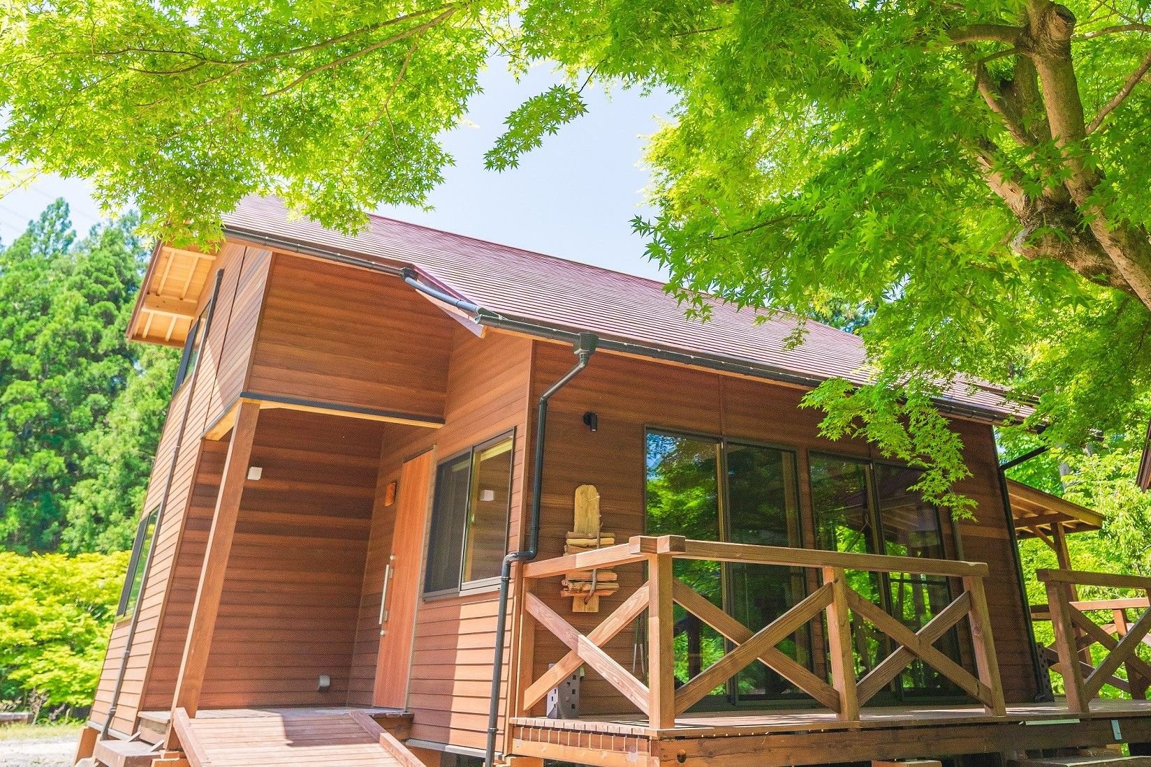 🏞️ 우디팔 요고 이미지 1